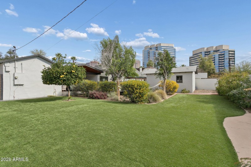 Synthetic lawn + desert plantings
