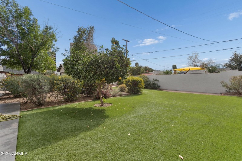 Sprawling synthetic lawn