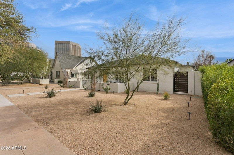 Minimalist easy-care landscape