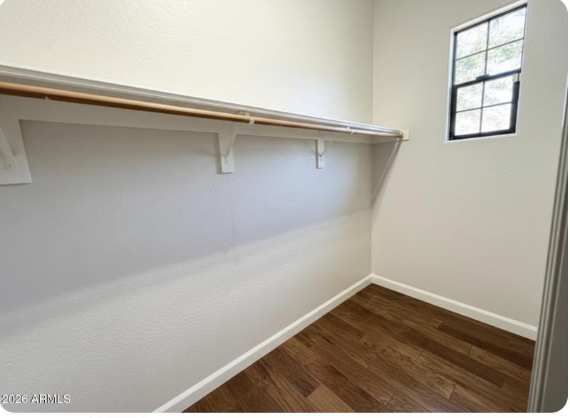 Master walk in closet