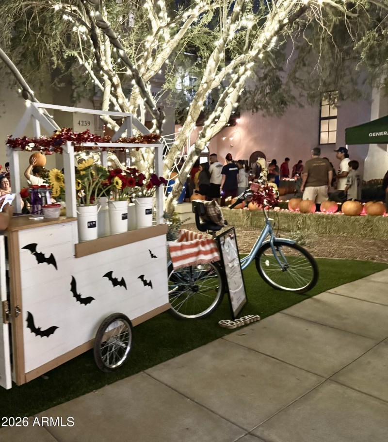 Events on Main Street