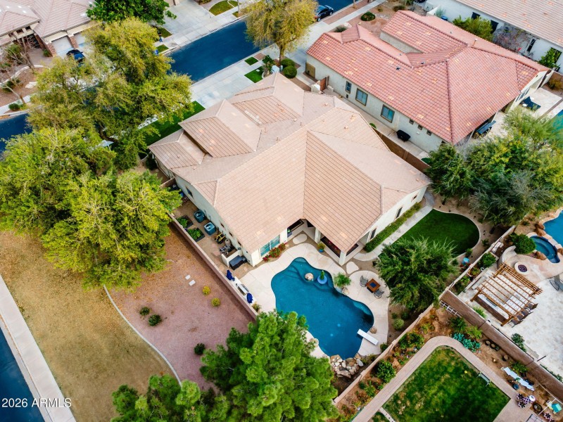 3-web-or-mls-Macaw (52)