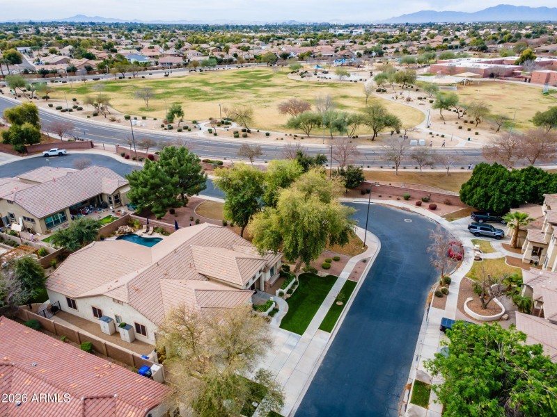 9-web-or-mls-Macaw (58)