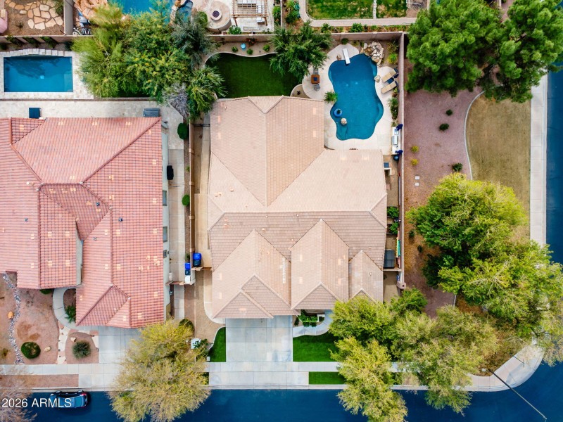 11-web-or-mls-Macaw (60)