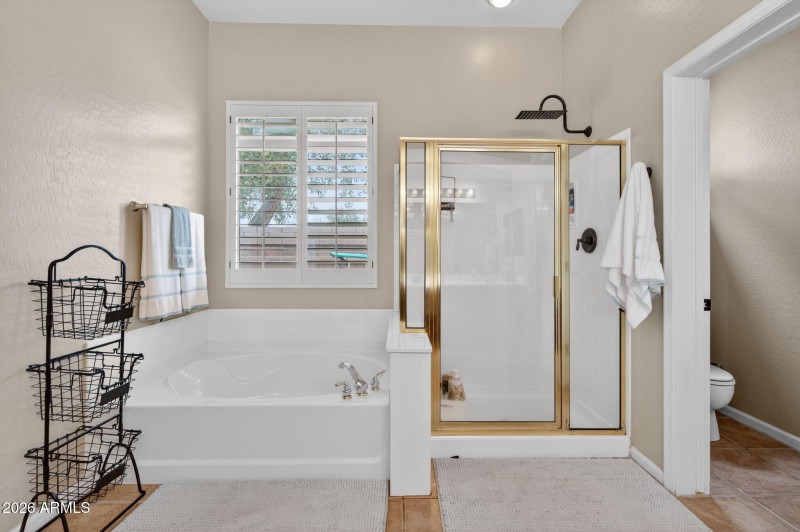 16-web-or-mls-Macaw (4)