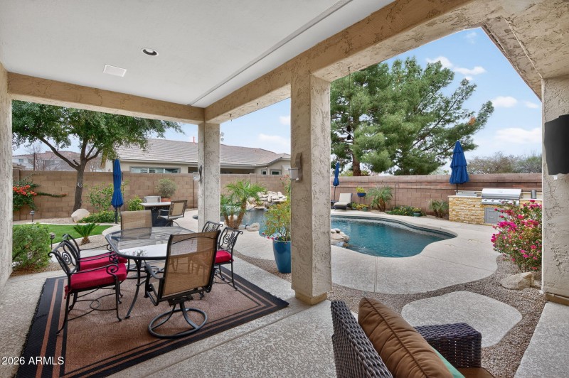 43-web-or-mls-Macaw (31)