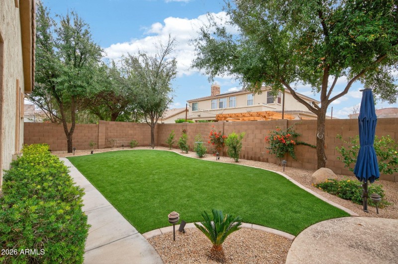 50-web-or-mls-Macaw (38)