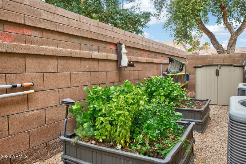 54-web-or-mls-Macaw (42)