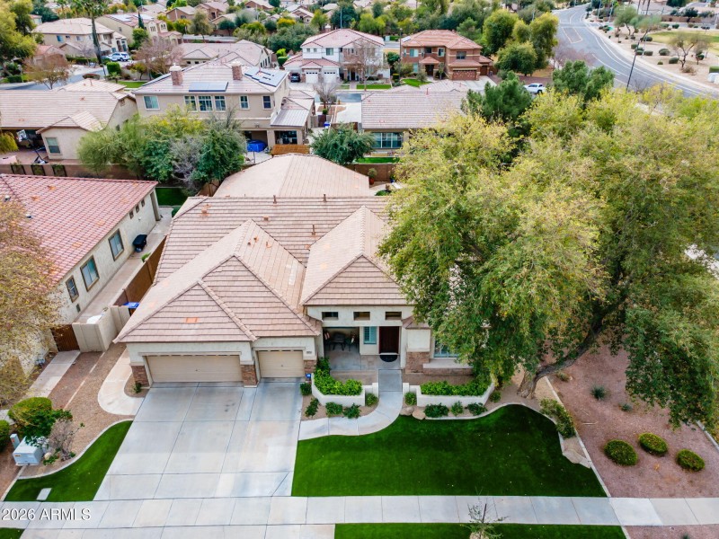 60-web-or-mls-Macaw (48)