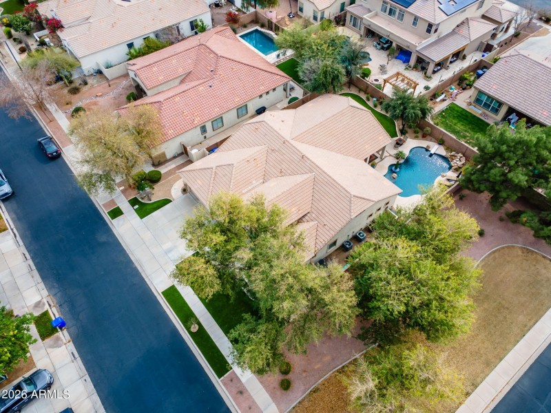 1-web-or-mls-Macaw (50)