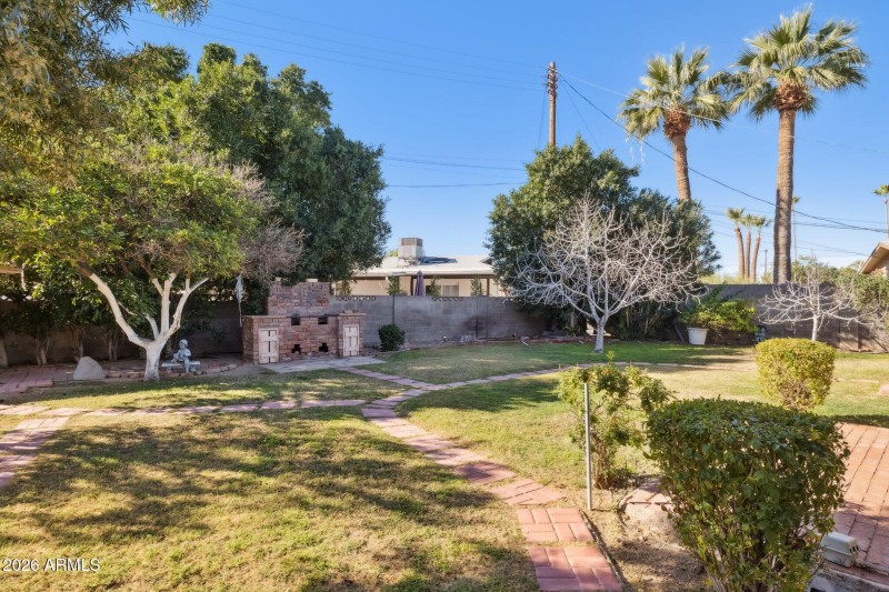 Orange Tree & Napa Yellow Fig Trees