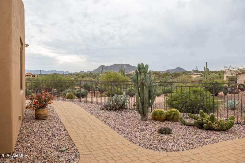 Desert Landscaping