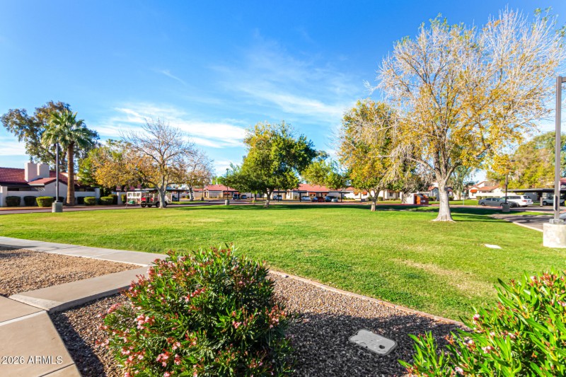 Community Photo 2