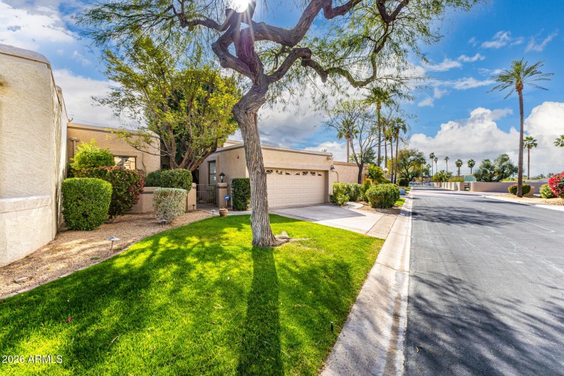 03-Camelback