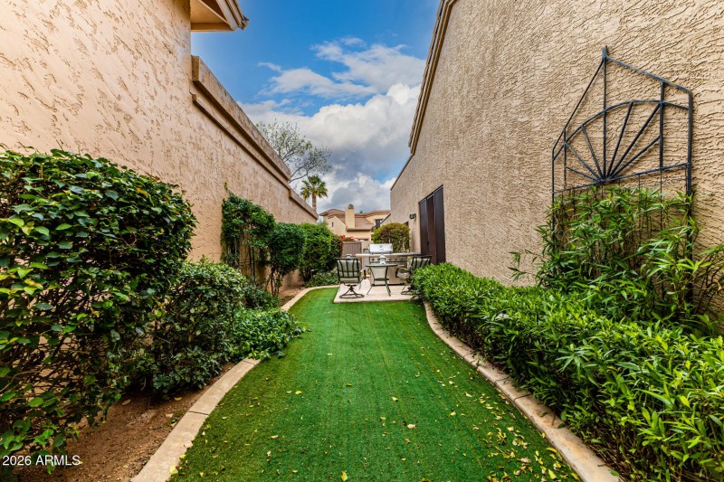 33-Camelback