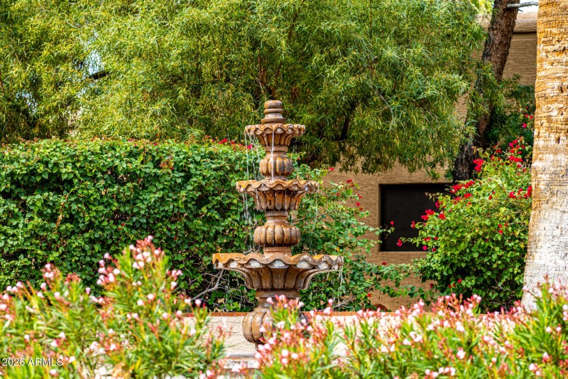 35-Camelback