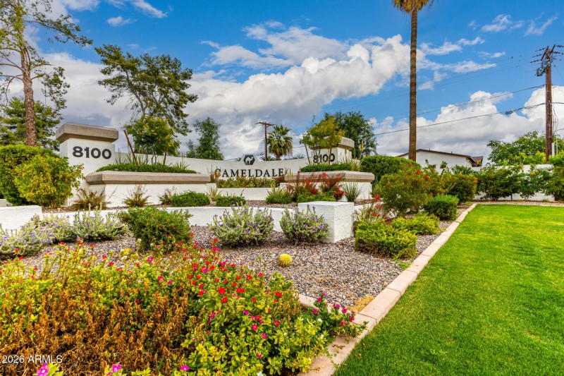 45-Camelback