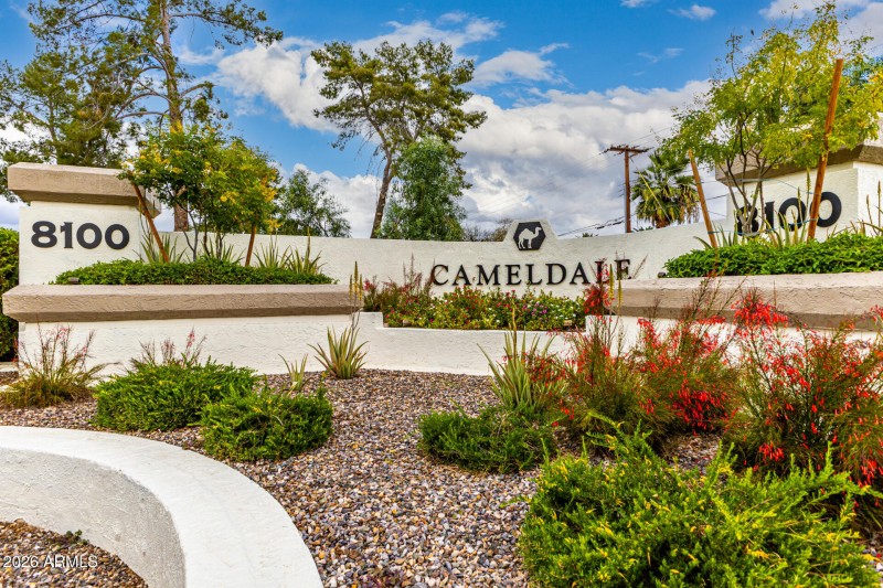 46-Camelback