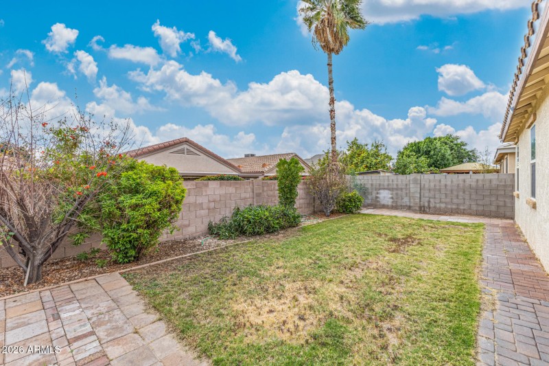 Backyard