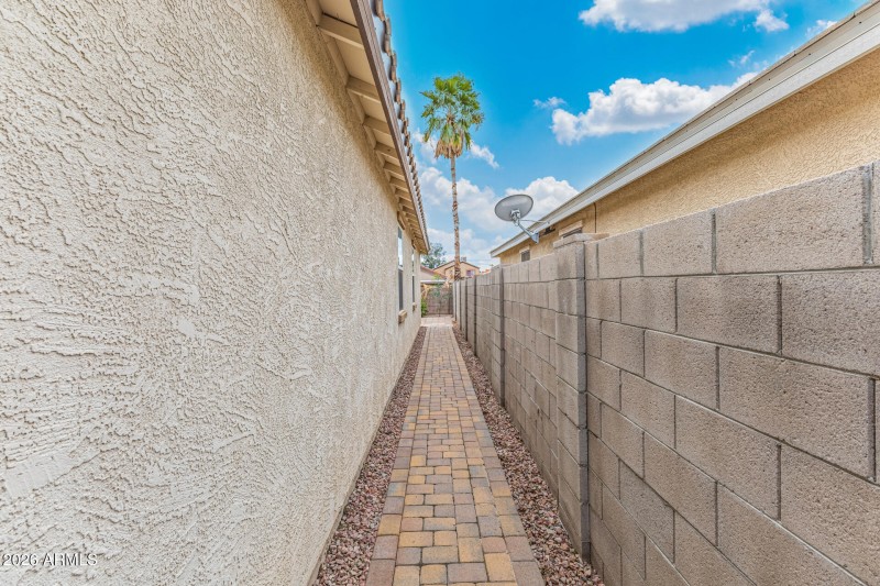 Backyard Side Yard