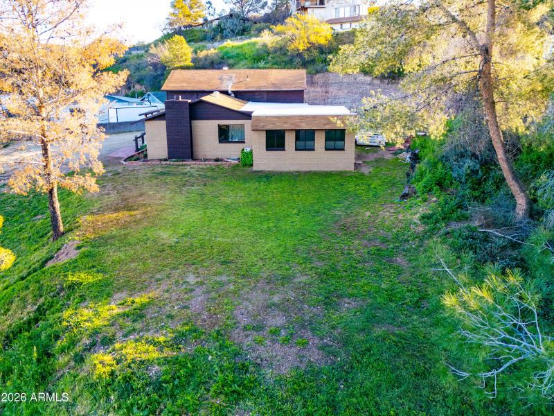 KNK-648 E Prickly Pear-9