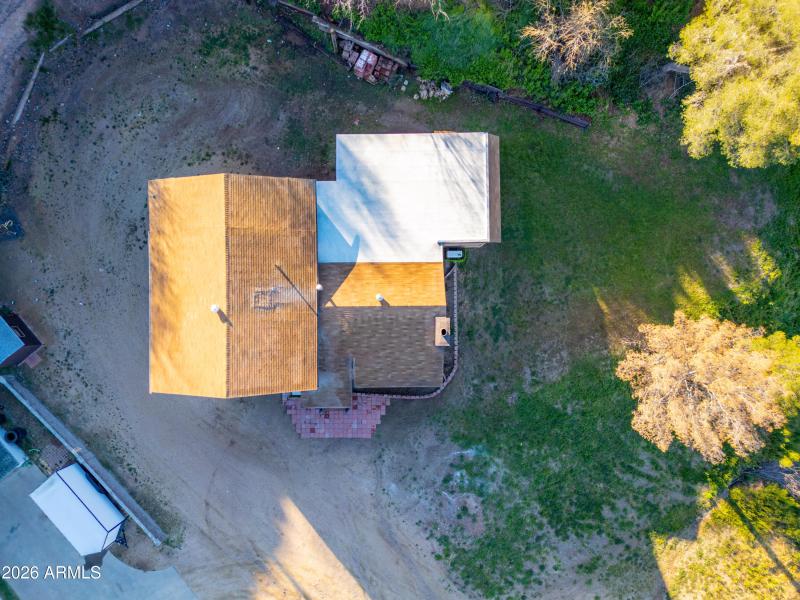 KNK-648 E Prickly Pear-13