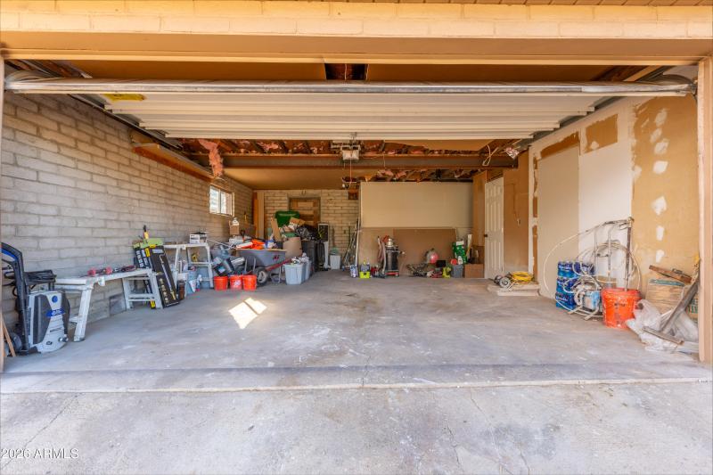 KNK-648 E Prickly Pear-15