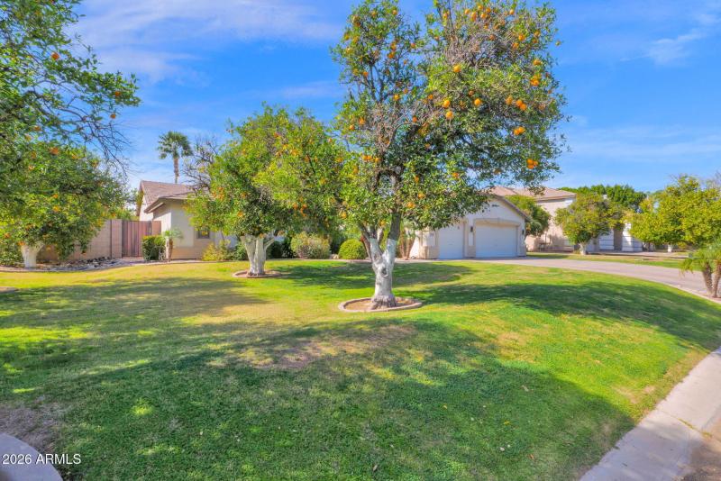 45-web-or-mls-P1525867