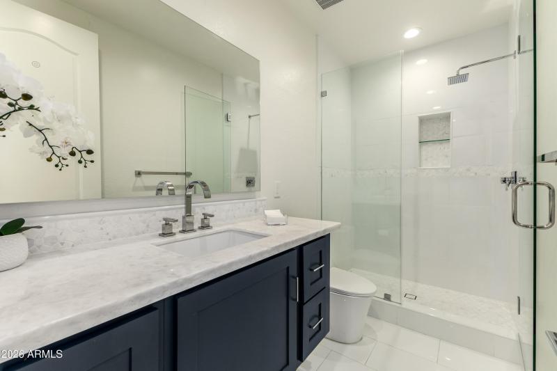 Guest/pool bathroom - downstairs