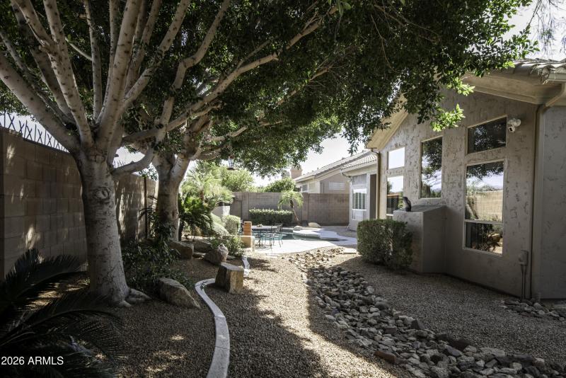 wagoner-48 backyard 2