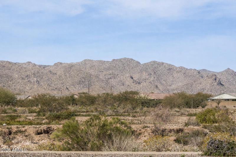 View from Living Room