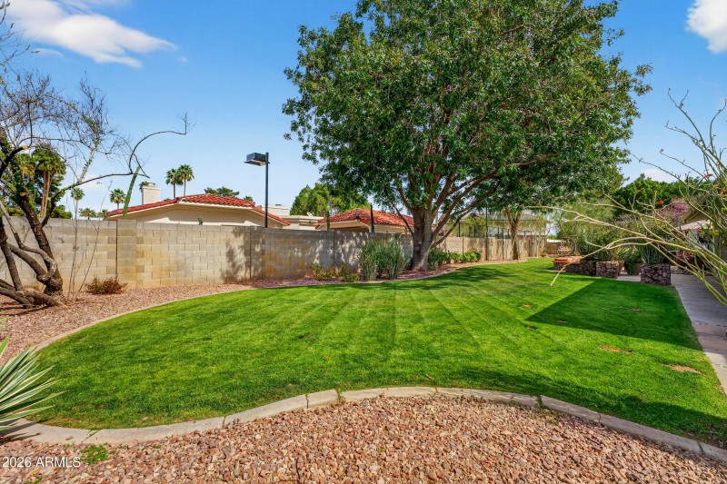 Backyard