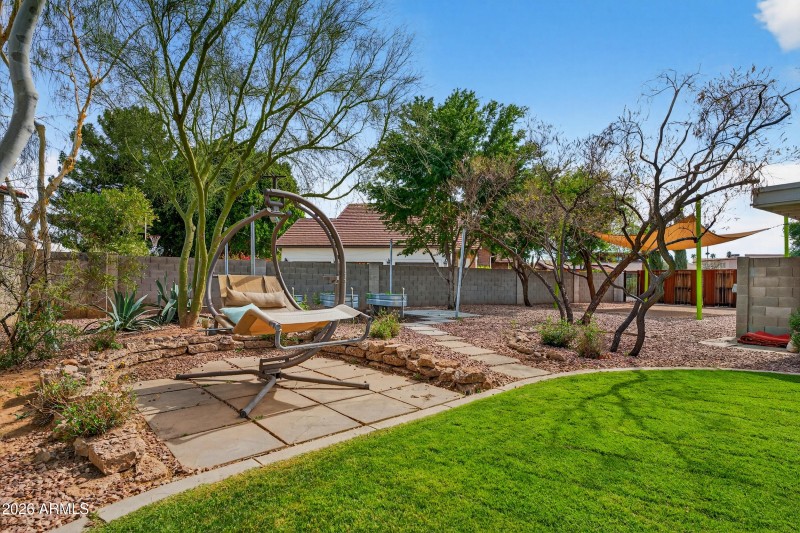 Back Yard