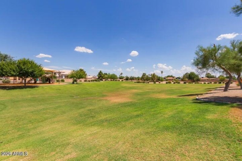 grass park