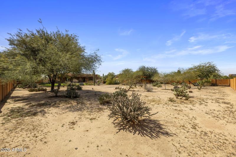 32-web-or-mls-IMG_9876