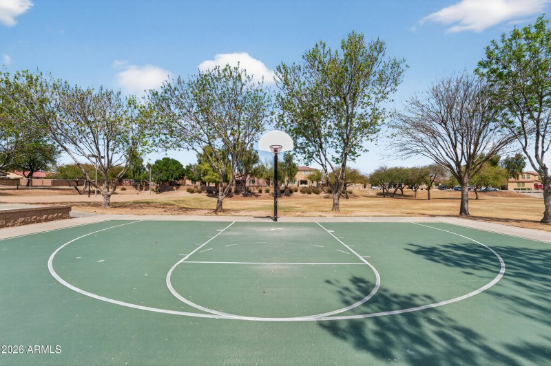 Basketball Courts