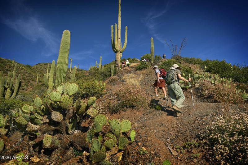 46 Hiking