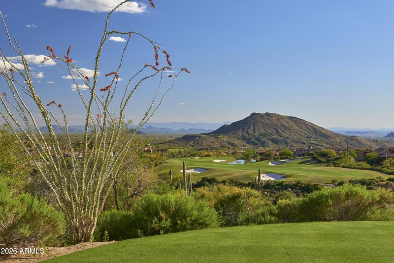 21 CHIRICAHUA HOLE 7