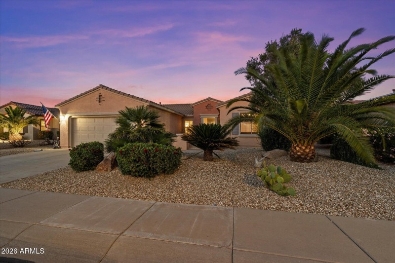 Mature Palm Trees & Desert Landscaping