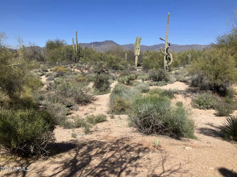 View from Master Bedroom
