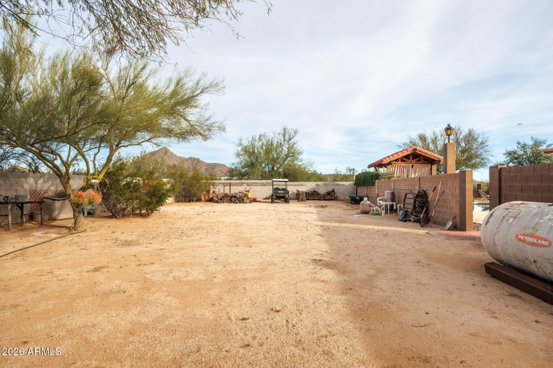 9125 N Paseo Palo Verde - North Yard Eas
