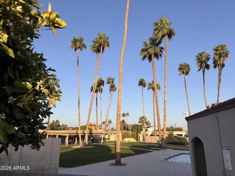 Next to community pool & spa