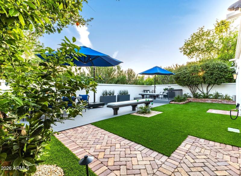 Backyard views of Camelback