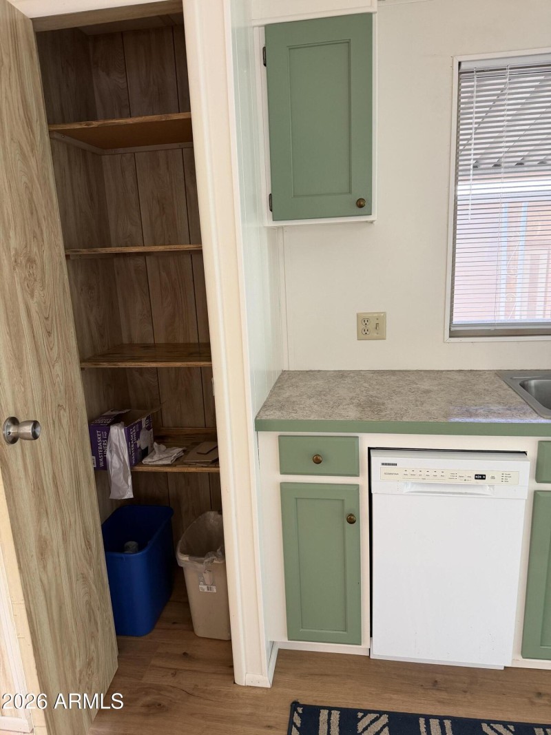 Kitchen pantry /small dishwasher