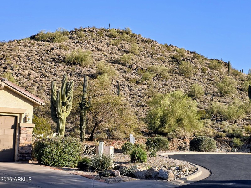 Skyline Drive - Front View 2