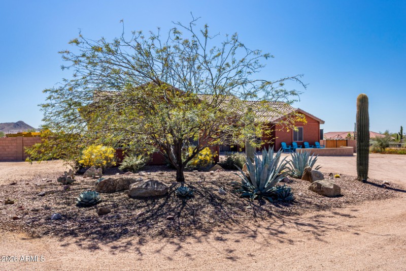 Driveway Landscape