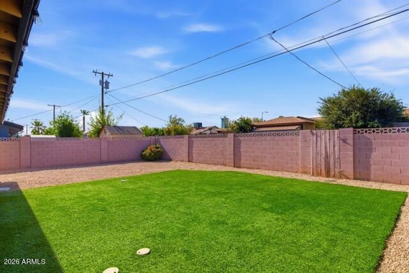 McKinley backyard