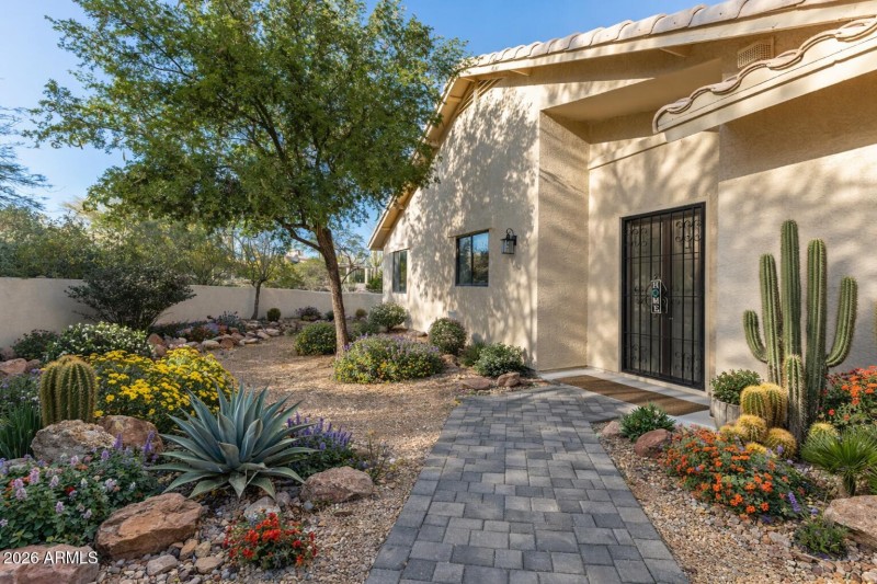 Southwestern desert garden at sunset