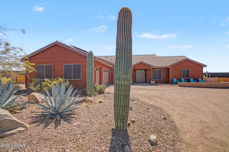 Driveway Landscape