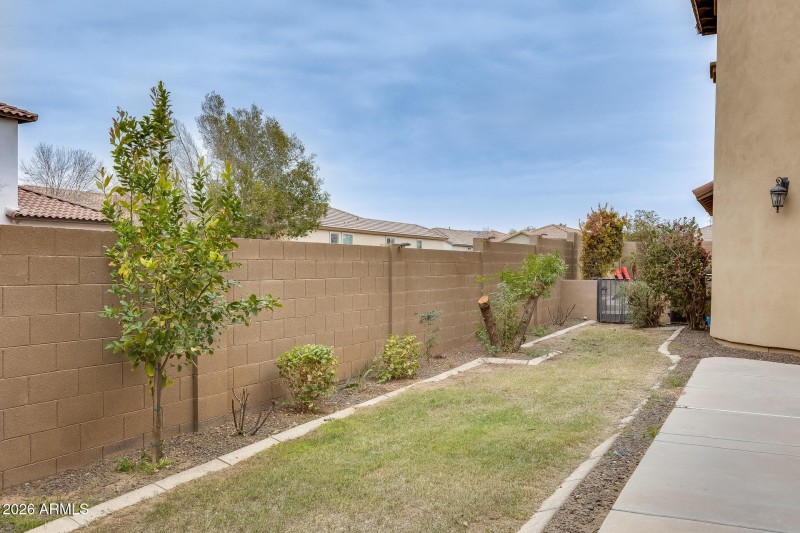Front grass area